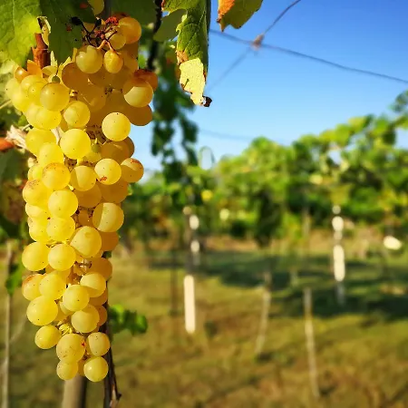Graziano E Barbara Farm stay Porto Conte